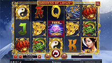 Bob casino screenshot